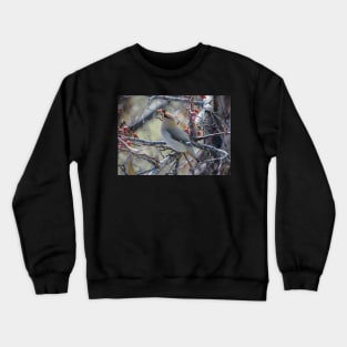 Bohemian Waxwing. Crewneck Sweatshirt